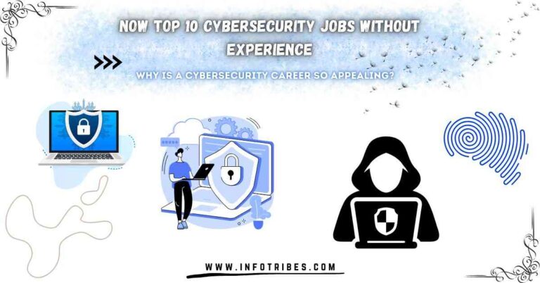 Cybersecurity Jobs Without Experience