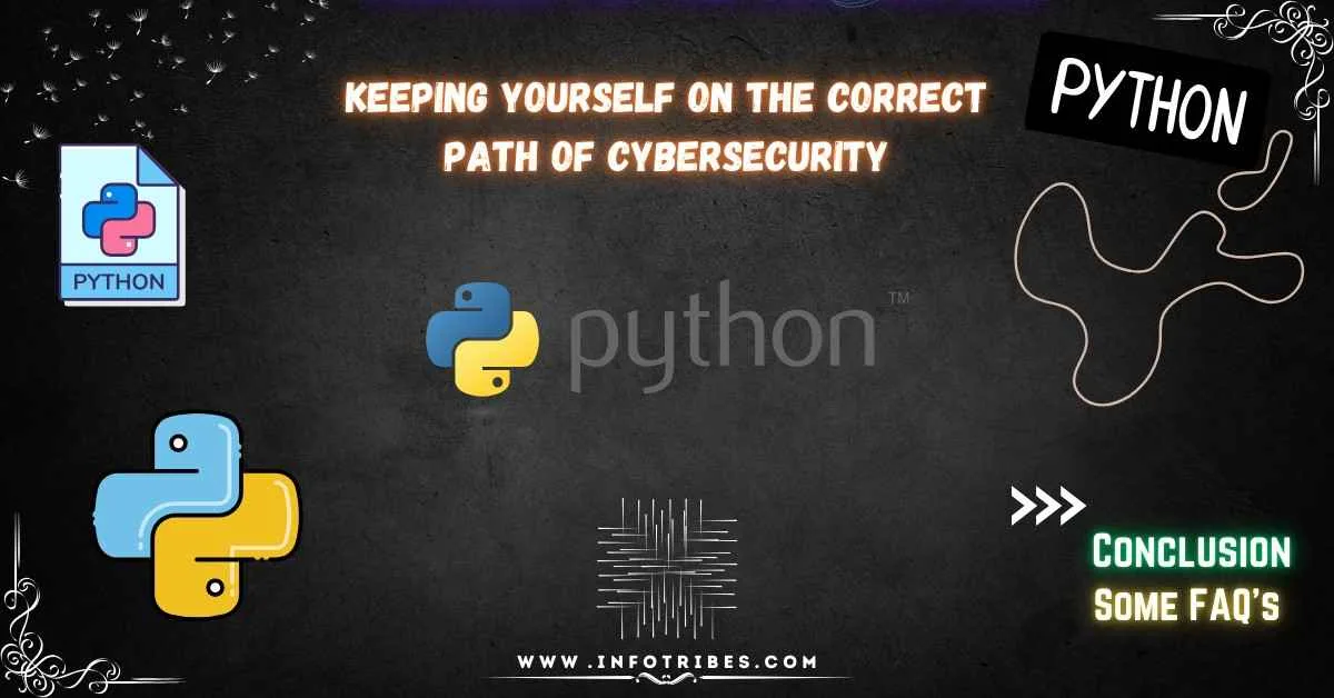 Black Hat Python