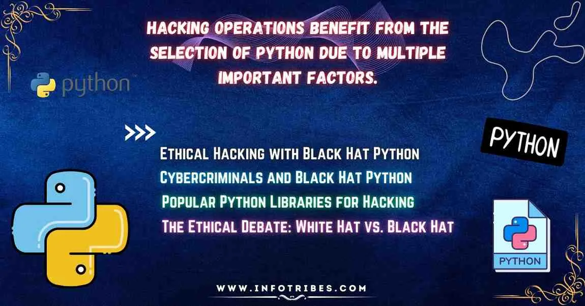 Black Hat Python