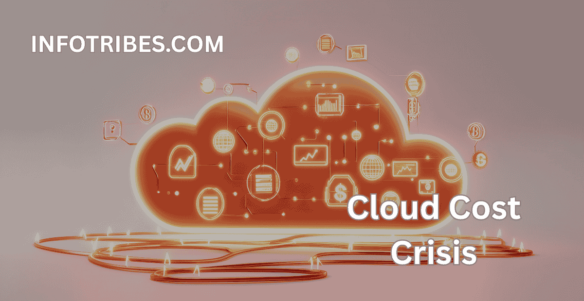 Cloud Cost Crisis